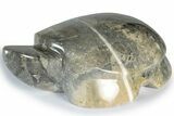 Polished Imagination Marble Turtle - Philippines #309074-1